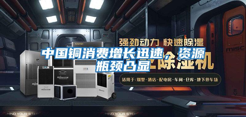 中國銅消費增長迅速，資源瓶頸凸顯