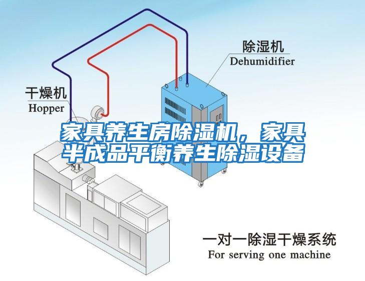 家具養(yǎng)生房除濕機，家具半成品平衡養(yǎng)生除濕設(shè)備
