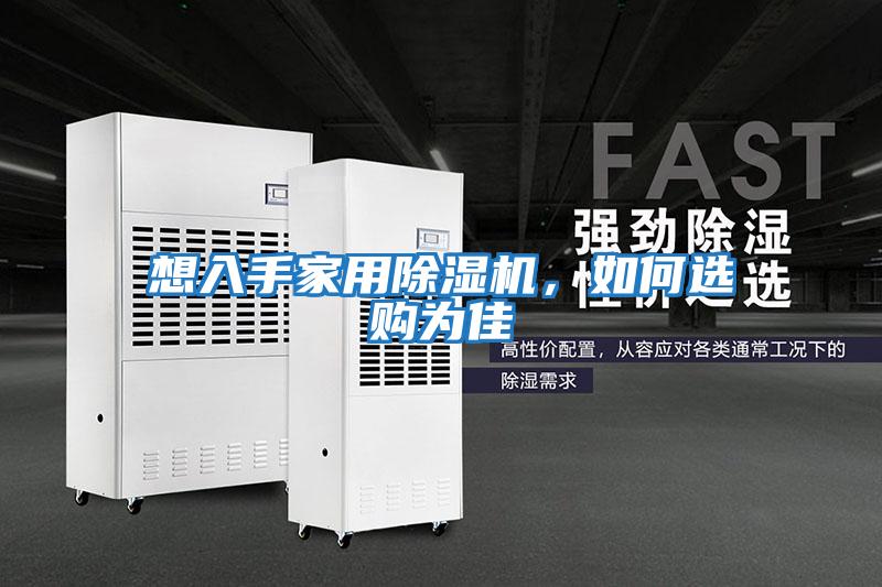 想入手家用除濕機(jī),如何選購為佳