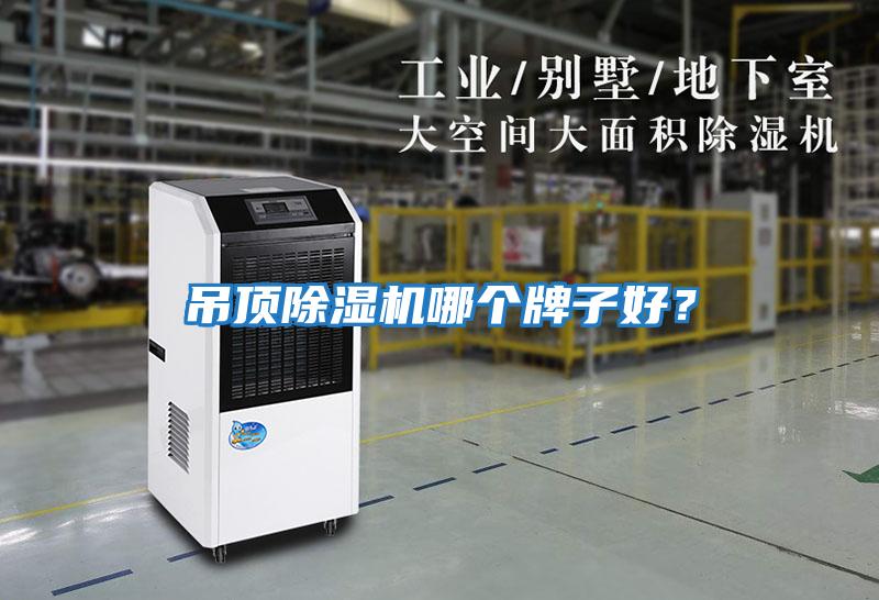 吊頂除濕機哪個牌子好？