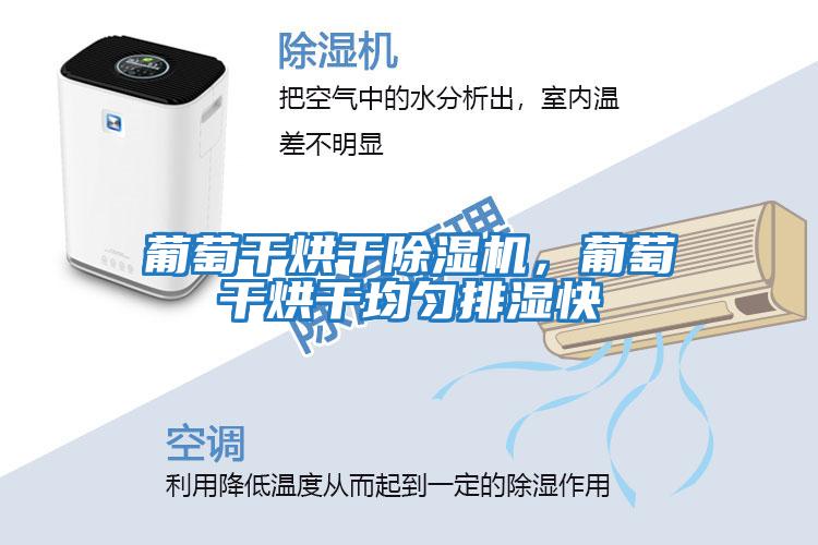 葡萄干烘干除濕機(jī)，葡萄干烘干均勻排濕快