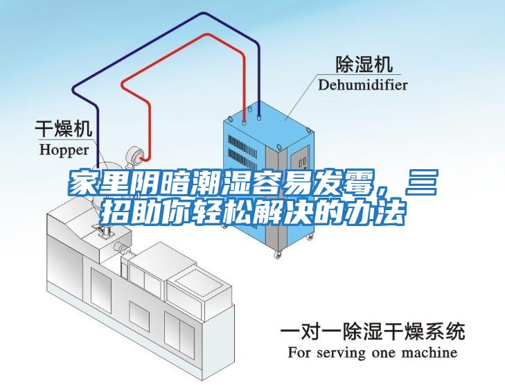 家里陰暗潮濕容易發霉，三招助你輕松解決的辦法