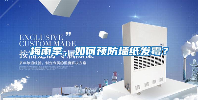 梅雨季,如何預防墻紙發霉?