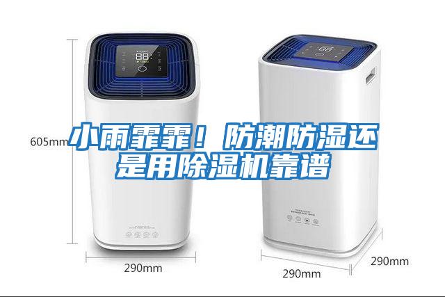 小雨霏霏！防潮防濕還是用除濕機靠譜