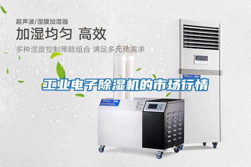 工業(yè)電子除濕機(jī)的市場行情