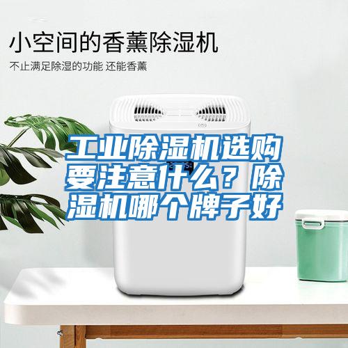 工業(yè)除濕機(jī)選購要注意什么？除濕機(jī)哪個牌子好