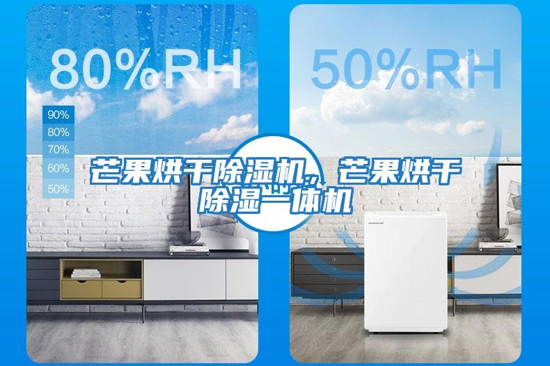 芒果烘干除濕機，芒果烘干除濕一體機