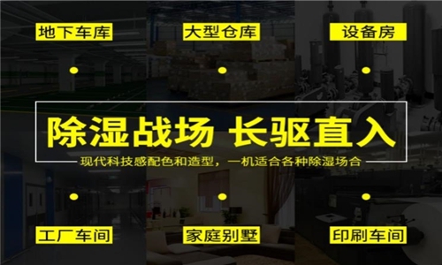 秋冬防濕冷，家里怎么除濕最好？