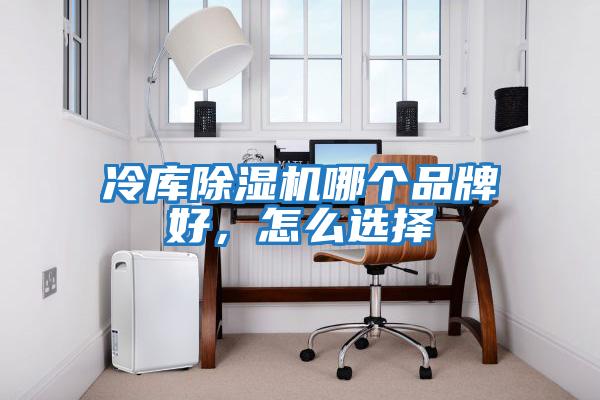冷庫(kù)除濕機(jī)哪個(gè)品牌好,怎么選擇