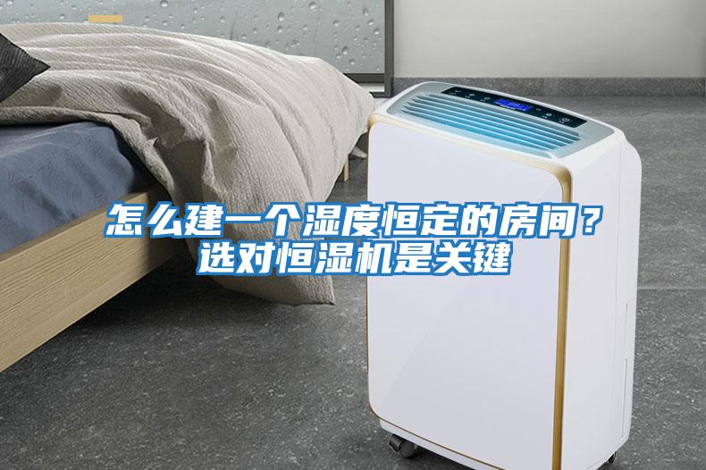 怎么建一個濕度恒定的房間？選對恒濕機是關鍵