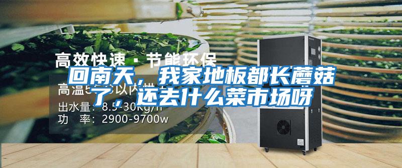 回南天，我家地板都長蘑菇了，還去什么菜市場呀