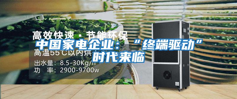 中國(guó)家電企業(yè)：“終端驅(qū)動(dòng)”時(shí)代來(lái)臨