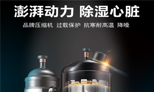 電力和配電行業/發電廠除濕機濕度控制_除濕機廠家