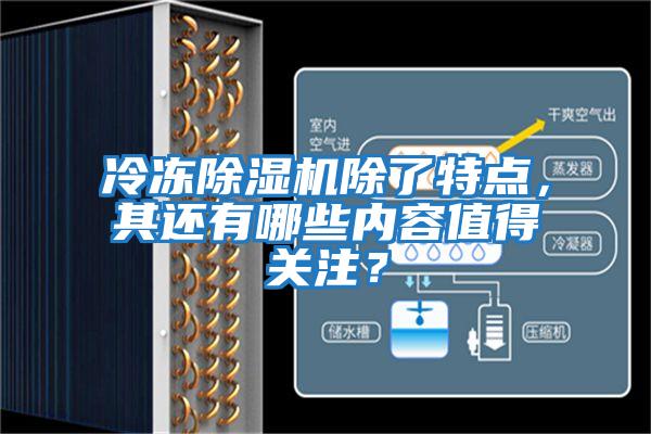 冷凍除濕機除了特點,其還有哪些內(nèi)容值得關(guān)注?