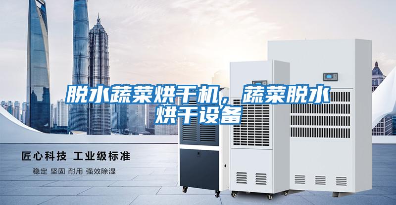 脫水蔬菜烘干機，蔬菜脫水烘干設備