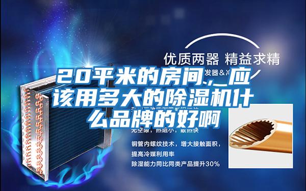 20平米的房間，應該用多大的除濕機什么品牌的好啊