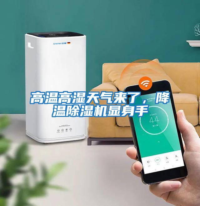 高溫高濕天氣來了，降溫除濕機顯身手