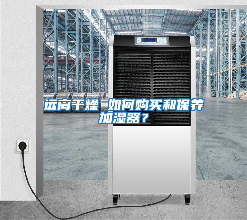 遠離干燥 如何購買和保養加濕器？