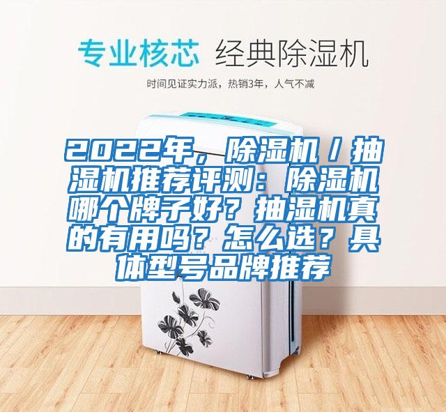 2022年，除濕機／抽濕機推薦評測：除濕機哪個牌子好？抽濕機真的有用嗎？怎么選？具體型號品牌推薦