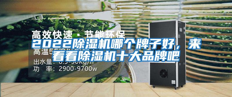 2022除濕機哪個牌子好，來看看除濕機十大品牌吧