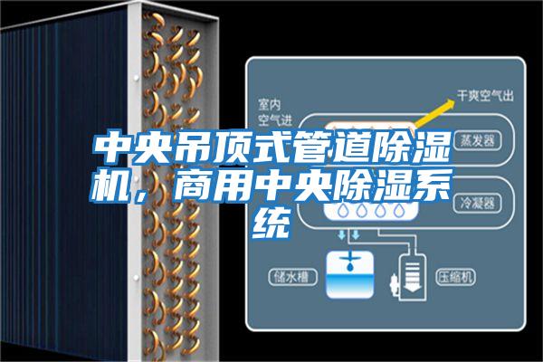 中央吊頂式管道除濕機，商用中央除濕系統(tǒng)