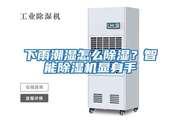 下雨潮濕怎么除濕？智能除濕機顯身手