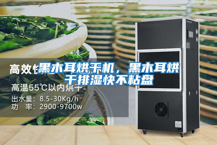 黑木耳烘干機,黑木耳烘干排濕快不粘盤