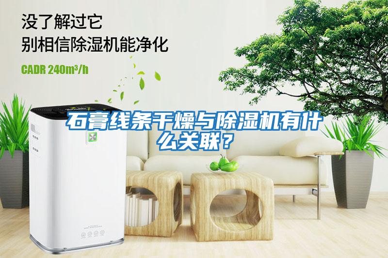石膏線條干燥與除濕機(jī)有什么關(guān)聯(lián)？
