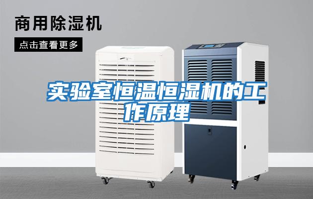實驗室恒溫恒濕機(jī)的工作原理