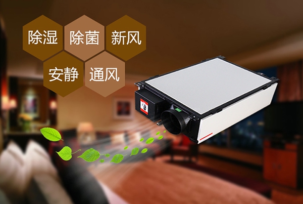 回南天如何防潮濕？選對除濕機高枕無憂