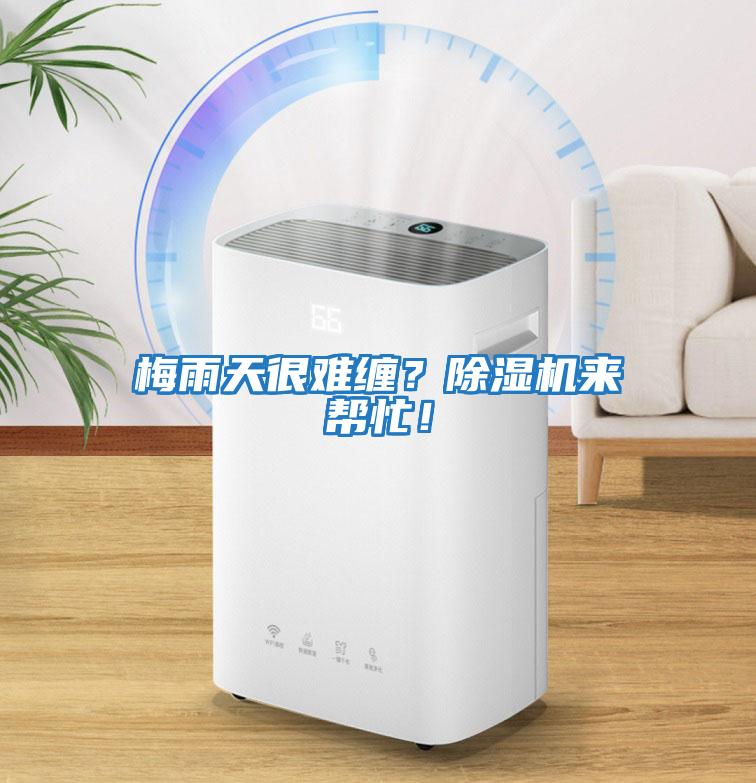 梅雨天很難纏？除濕機來幫忙！