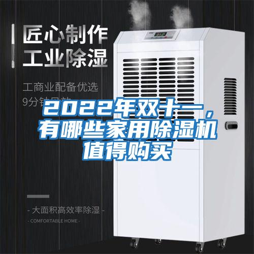 2022年雙十一，有哪些家用除濕機(jī)值得購買