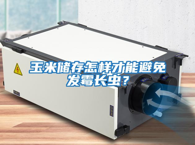 玉米儲存怎樣才能避免發(fā)霉長蟲？