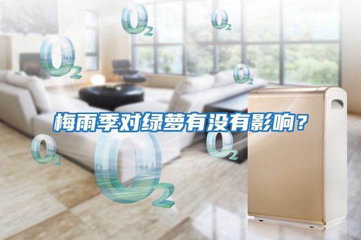 梅雨季對(duì)綠蘿有沒(méi)有影響？