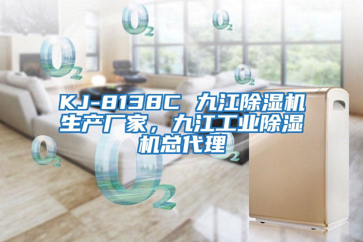 KJ-8138C 九江除濕機生產(chǎn)廠家，九江工業(yè)除濕機總代理
