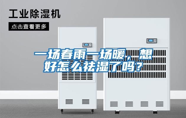 一場春雨一場暖，想好怎么祛濕了嗎？