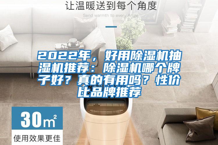 2022年，好用除濕機抽濕機推薦：除濕機哪個牌子好？真的有用嗎？性價比品牌推薦