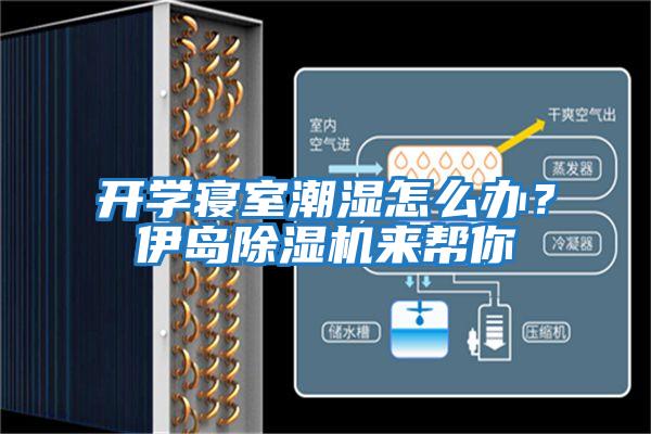 開學(xué)寢室潮濕怎么辦？伊島除濕機(jī)來幫你