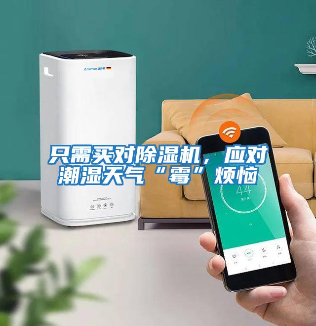只需買(mǎi)對(duì)除濕機(jī),應(yīng)對(duì)潮濕天氣“霉”煩惱