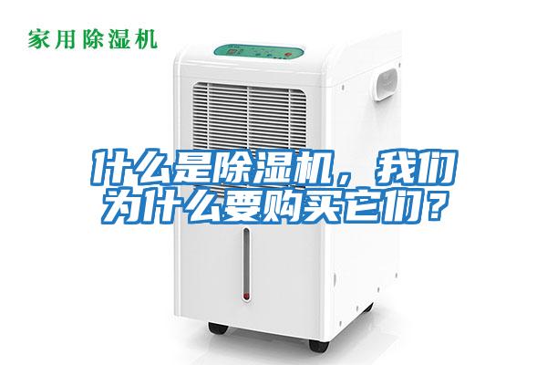 什么是除濕機，我們為什么要購買它們？