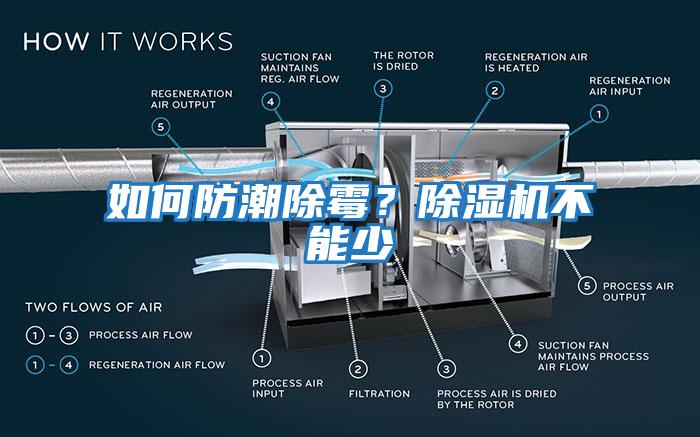如何防潮除霉？除濕機不能少