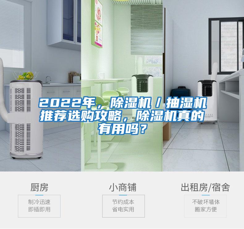2022年，除濕機／抽濕機推薦選購攻略，除濕機真的有用嗎？