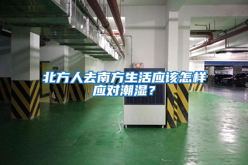 北方人去南方生活應該怎樣應對潮濕？