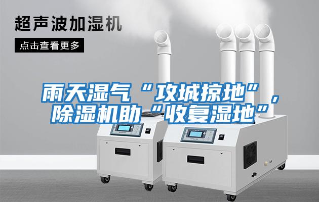 雨天濕氣“攻城掠地”，除濕機助“收復(fù)濕地”