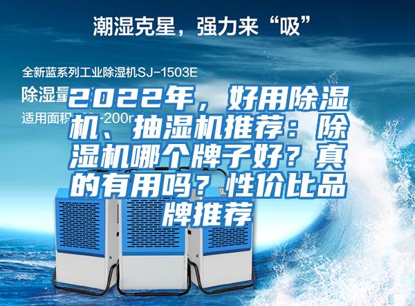 2022年，好用除濕機、抽濕機推薦：除濕機哪個牌子好？真的有用嗎？性價比品牌推薦