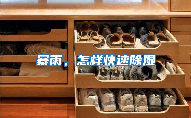 暴雨,怎樣快速除濕