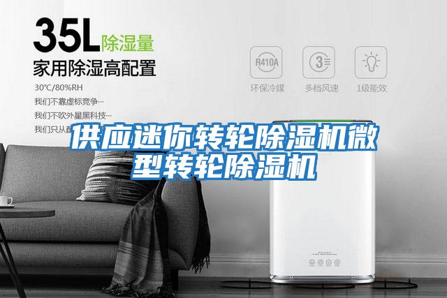 供應迷你轉(zhuǎn)輪除濕機微型轉(zhuǎn)輪除濕機