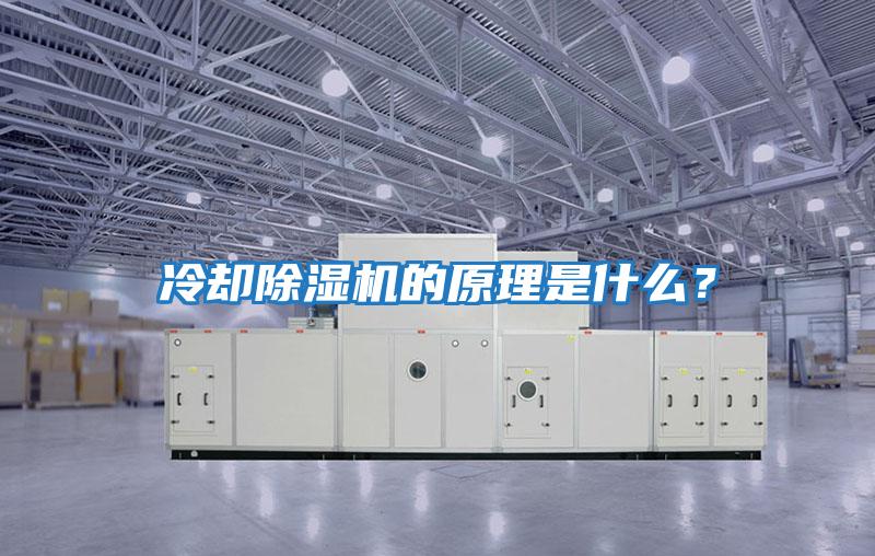 冷卻除濕機(jī)的原理是什么？