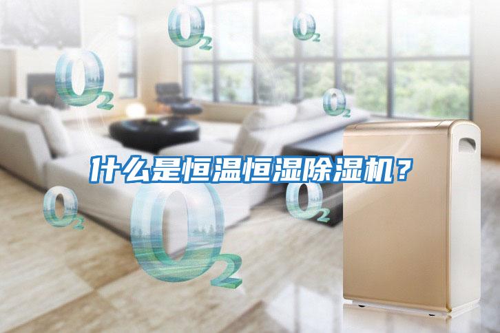 什么是恒溫恒濕除濕機？