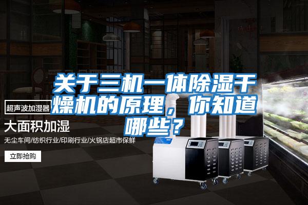 關(guān)于三機(jī)一體除濕干燥機(jī)的原理,你知道哪些?